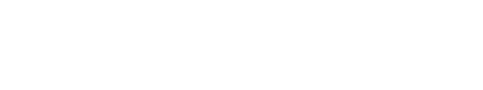 Little Elm Public Adjuster Logo Wh